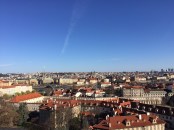 IMG_1011-4
